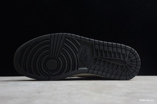 Jordan GoAnywhere 1 Og 'Rookie Air 254 High  Retro The Year' of 555088-700 555088-700 0523